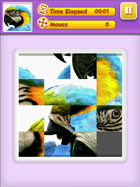 Bilder schieben - Tiere